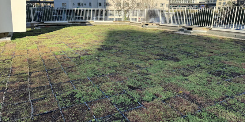 20241128_112055_IMG_4609