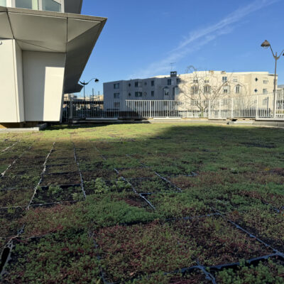 20241128_112058_IMG_4610