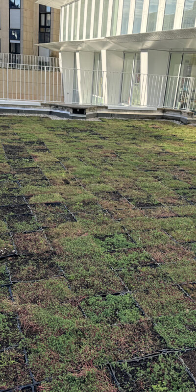 20241128_112104_IMG_4612